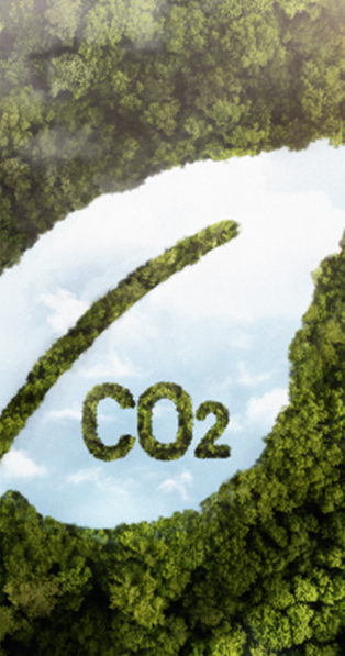 Reduction in<br />
Overall Carbon<br />
Footprints